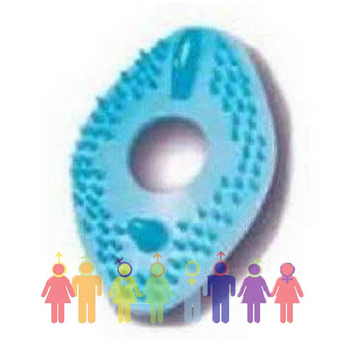 Anillo peneano con multi estimulación