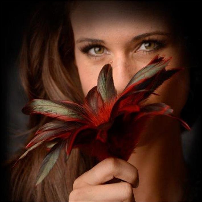 Plumas Scarlet Red