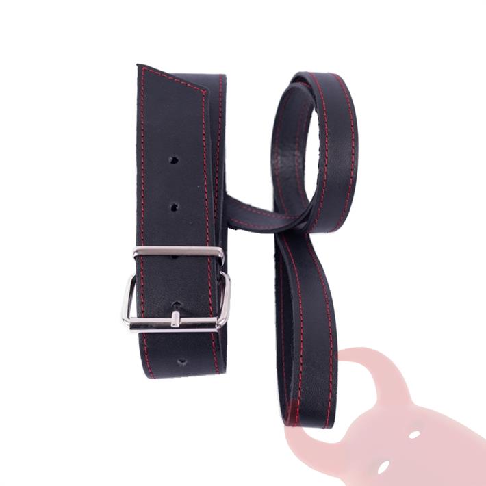 Collar y correa de cuero