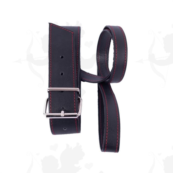 Collar y correa de cuero