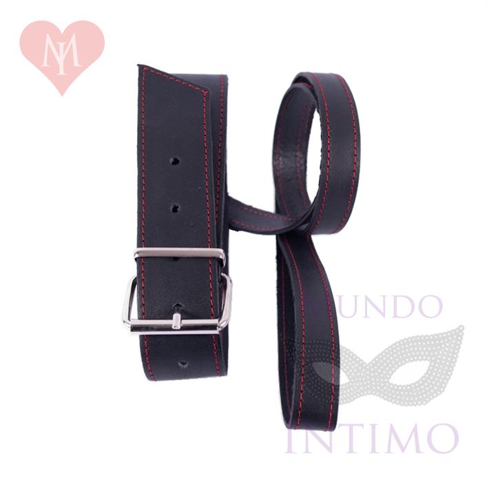 Collar y correa de cuero