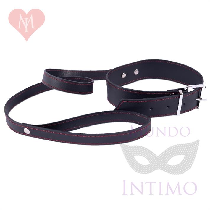Collar y correa de cuero