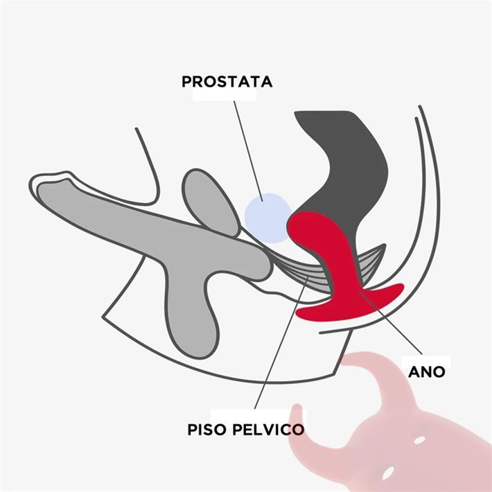 Dilatador anal prostatico Bootie