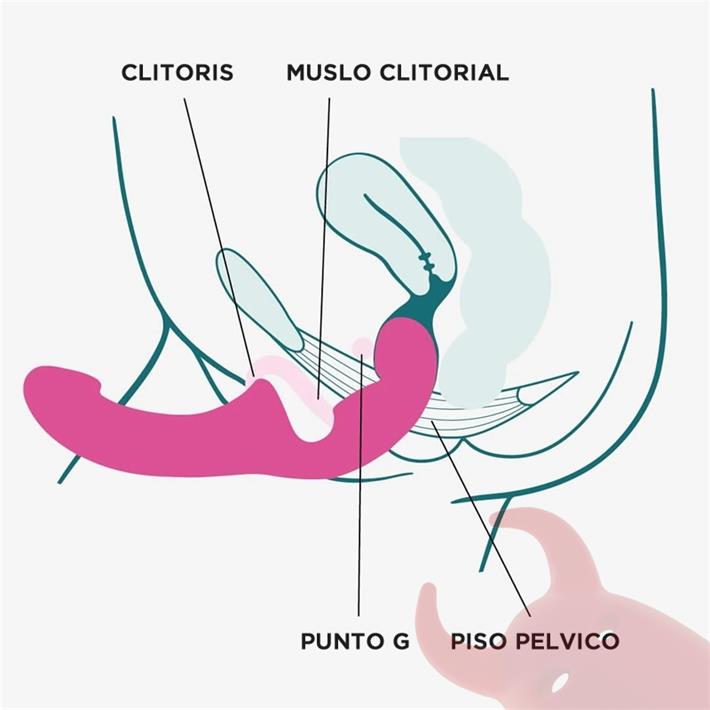 Share Lite Strap On para cambio de roles
