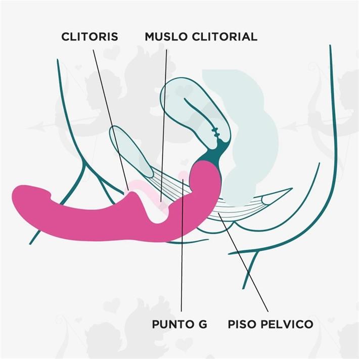 Share Lite Strap On para cambio de roles