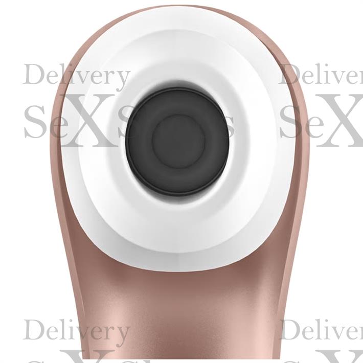 Pro 2 light rose gold succionador de clitoris con USB C