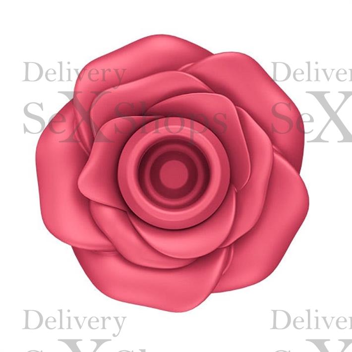 Pro 2 Modern Blossom Succionador con membrana de silicona y carga USB