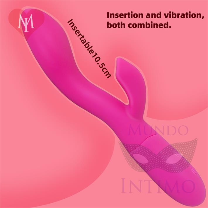 Chamaeleon : Vibrador con estimulador de clitoris y 10 modos de vibracion y 5 velocidades